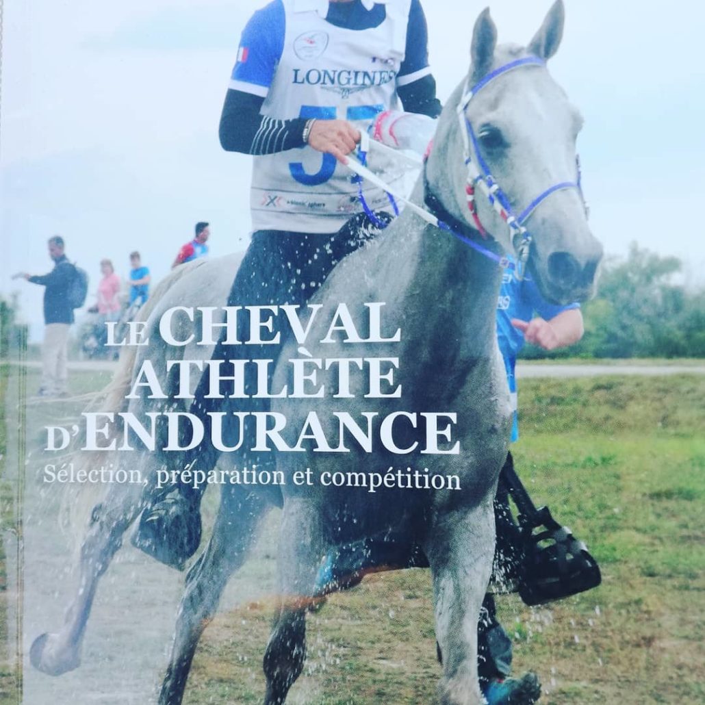 #endurancetraining #enduranceride #alequineendurance #alequine