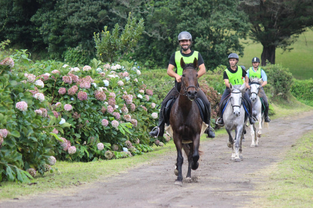 Açores recebeu primeiro Raide federado - Portal Equitação