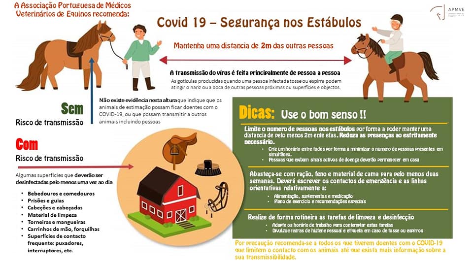 A APMVE (Associação Portuguesa dos Médicos Veterinários de Equinos) recomenda: