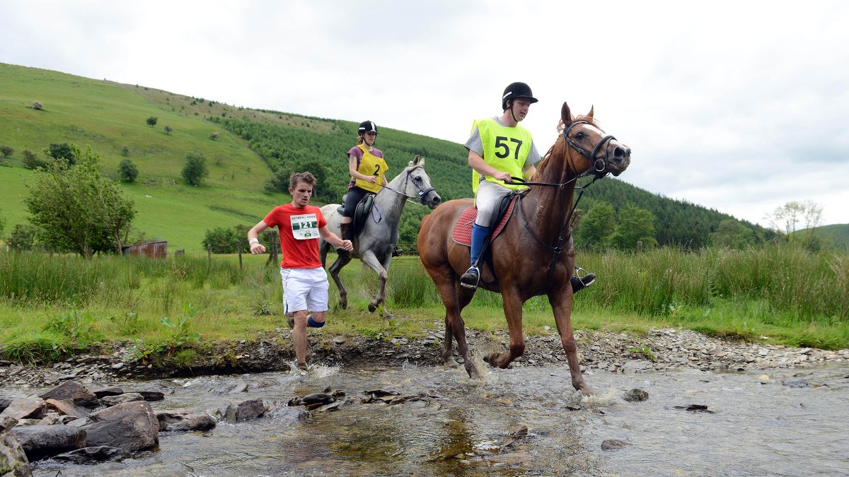 What Physiologists Learn When Humans Race Against Horses